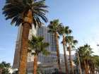 weiss-ces-2009-1.jpg